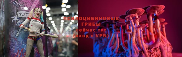 PSILOCYBIN Абаза